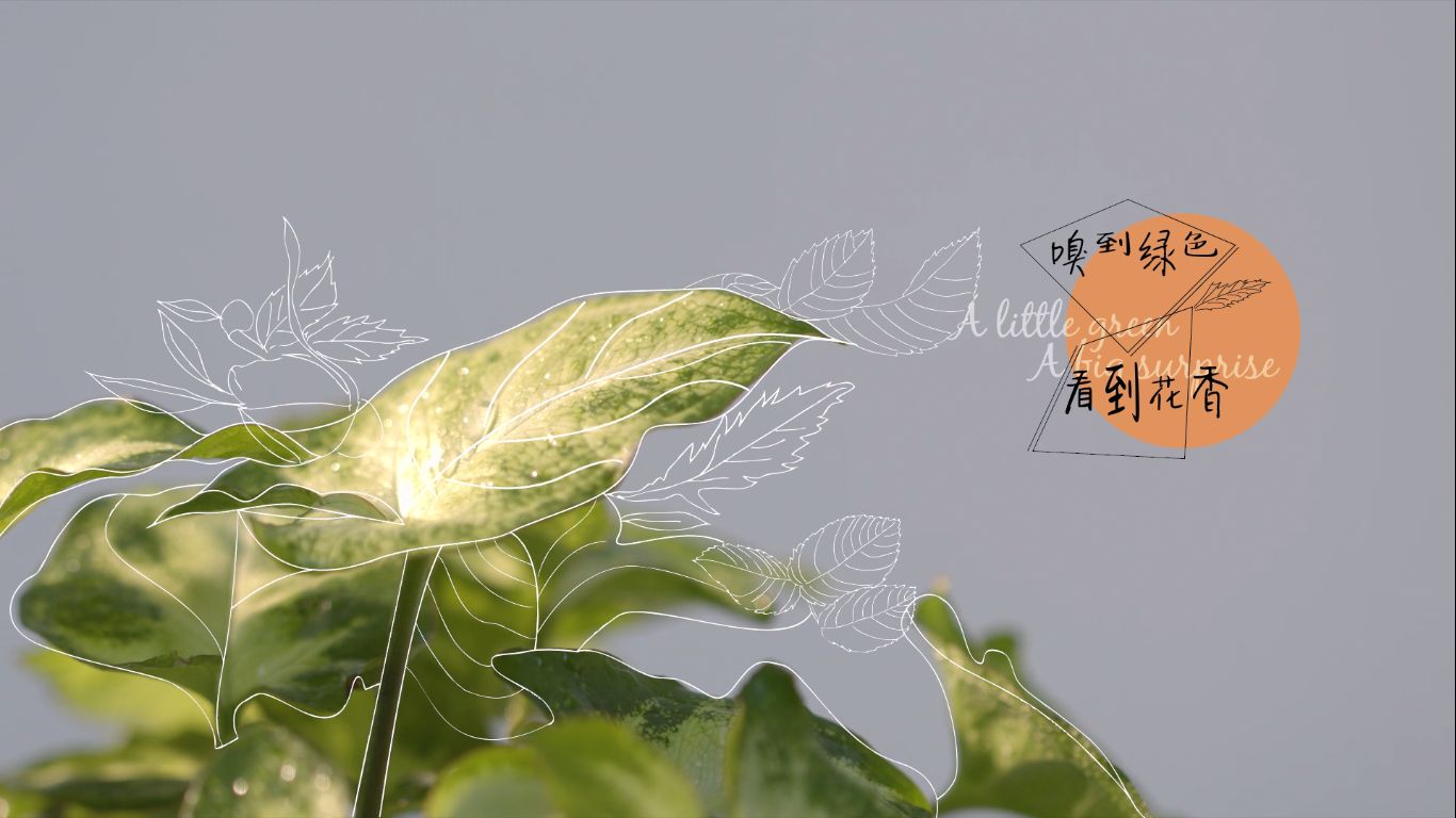 全域影視傳媒場(chǎng)景化視頻制作流程步驟