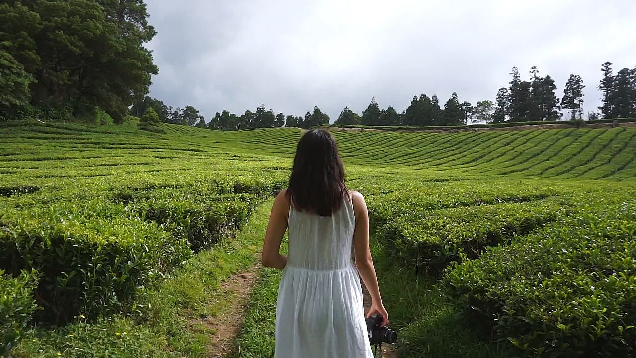 旅游景點MTV宣傳片拍攝制作經驗